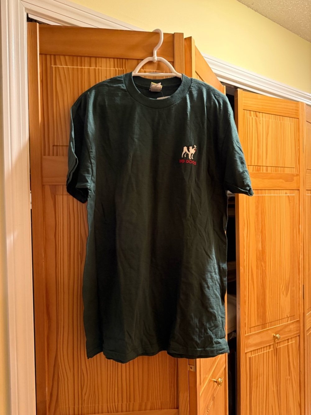 Big Dog Forest Green Short-Sleeve Large Tee, Show Me The Money NWT